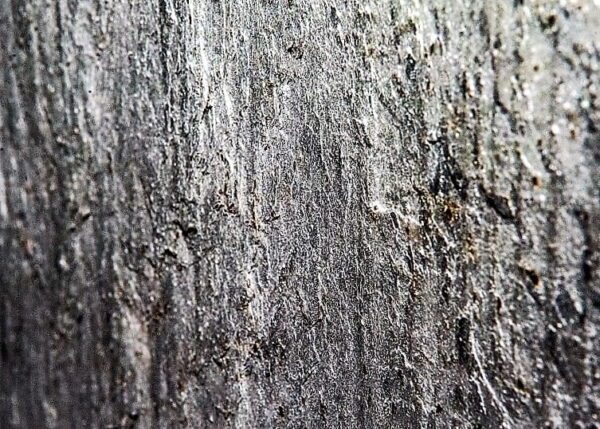 1176 Stone Veneer Ocean Black 122x61x0.2 cm