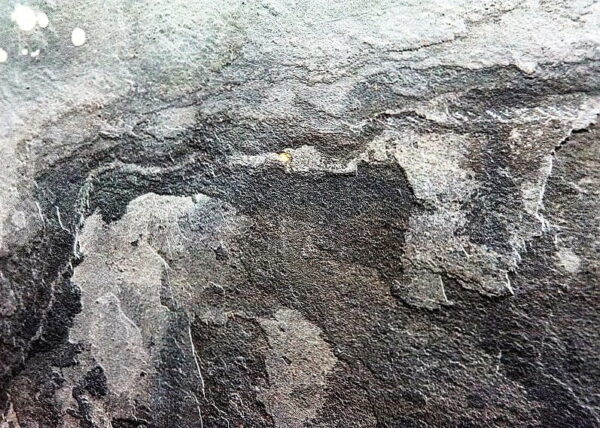 4749 Stone Veneer Autumn Rustic 122x244x0.2 cm