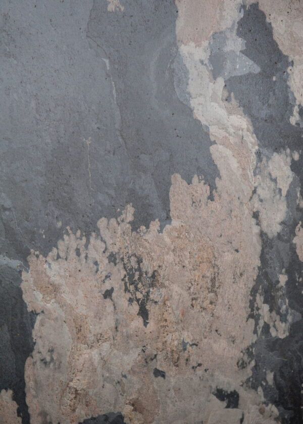 Stone Veneer Autumn Rustic 122x244x0.2 cm Transparent