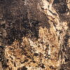 Stone Veneer Autumn Rustic 122x244x0.2 cm Transparent