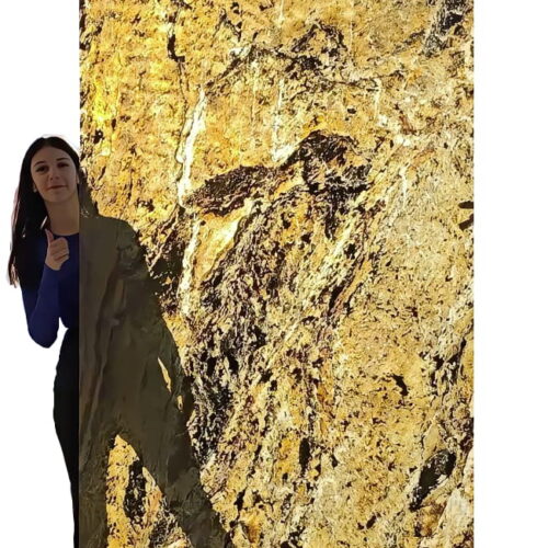 Stone Veneer Burning Forest 244x122x0.2 cm Transparent