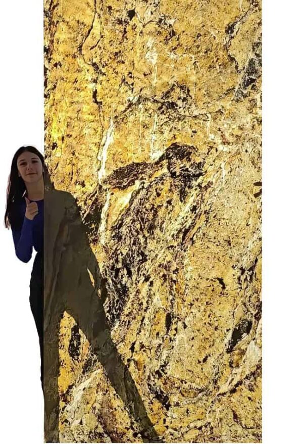 Stone Veneer Burning Forest 244x122x0.2 cm Transparent