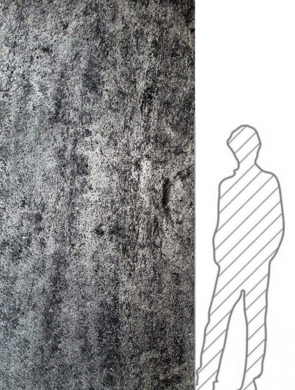 8168 Silver Grey Stone Veneer 244x122x0.2 cm Transparent