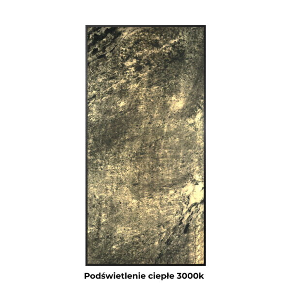 Obraz z Forniru Kamiennego Silver Grey 120x60 cm