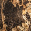 Fornir kamienny Autumn Rustic 122x280x0,2 cm Przezroczysty